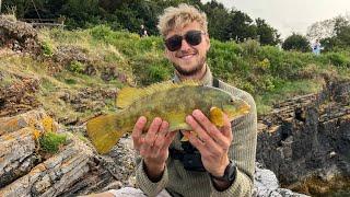 Brixham Wrasse Fishing - Sea Fishing In Devon - August 2024
