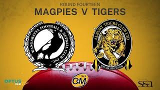 R14 2023 - Wangaratta Magpies vs Albury Tigers