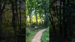 Round the Bend #hiking #nature #green #getoutside #ohio #trails  #forest #summer #shorts