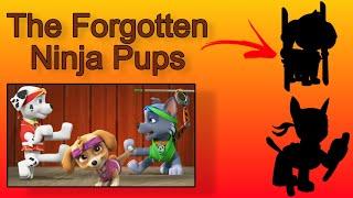 Ninja pups - the cancelled subseries you never heard of