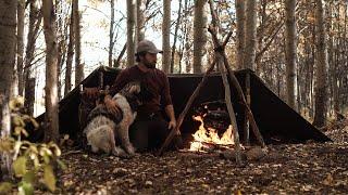 Solo Camping with my Puppy - Half Tent Shelter, Camp Cooking, Bushcraft Skills, Canadian Wilderness