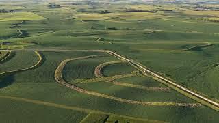 Generate Income and Farm Habitat with Precision Conservation and Prairie Strips