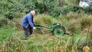 Replacing Coil, Points, Condenser, and Plug On A Vintage Allen Scythe – and then cutting BIG rushes