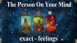 THE PERSON ON YOUR MIND (exact-feelings)  #timeless Tarot Psychic Reading!