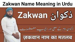 Zakwan Name Meaning in Urdu | Zakwan Name Ka Matlab | Zakwan Naam Ke Mayne | LafzeQadeerOfficial