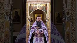 Вера и наука прекрасно сочетаются. Святитель Лука Крымский #проповедь #спросиовере