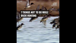 7 Things Not to Do While Duck Hunting