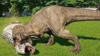 T-REX MAX Vs ALL CARNIVORE DINOSAURS - Jurassic World Evolution