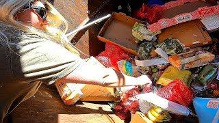 The Most Epic Dumpster Diving Meat Haul We Have Ever Hit!