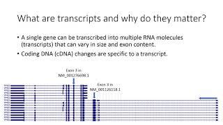 Introduction to Genome Builds and Transcripts