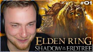 DER START INS ELDEN RING DLC!  Elden Ring: Shadow of the Erdtree (Blind) #01 | SolutionPlayz