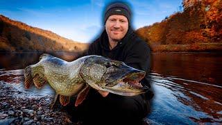 In Search of BIG PIKE on the River