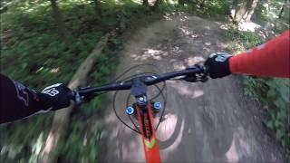 Natur-Bikepark am Bisamberg MTB Downhill | Enduro