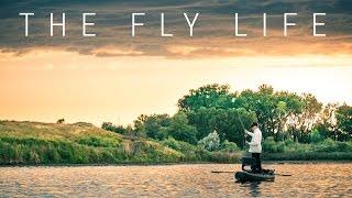 THE FLY LIFE  - WHERE IT STARTS   [4k]