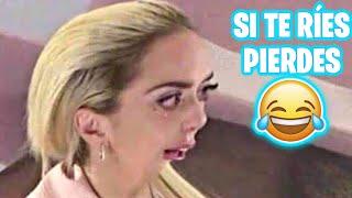 SI TE RÍES PIERDES NIVEL DIOS  [999.99 IMPOSIBLE NO REÍRSE]  Videos De Risa Muy Graciosos 2024 