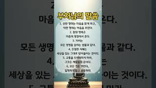 내면의 고요를 찾는 불교 명언｜ 부처님의 말씀｜삶의 지혜 #마음챙김
