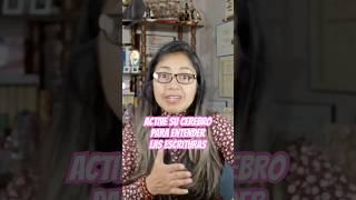 Active Su Cerebro Para Entender Las Escrituras