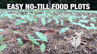 Easy No-till Food Plots -- Whitetail Weekend Seminar