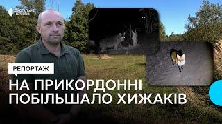 Заборона полювати, обстріли та пожежі: на півночі Чернігівщини побільшало тварин, зокрема, хижаків