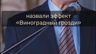 Эффект «виноградной грозди»