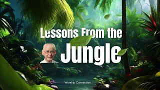 8   Miracles in the Jungle with Otto Koning • The Pineapple Story Series