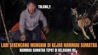 CAMPING HOROR: LARI SEKENCANG MUNGKIN DI DATANGI HARIMAU SUMATRA SAAT 3 HARI DI HUTAN SUMATRA