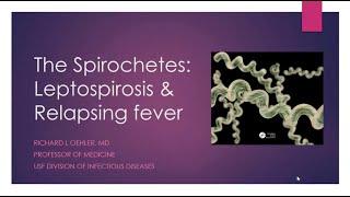 The Spirochetes: Leptospirosis and Relapsing Fever -- Richard Oehler, MD