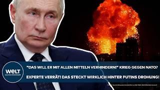 UKRAINE-KRIEG: "Das will Putin mit allen Mitteln verhindern!" Krieg gegen NATO? Das steckt dahinter!