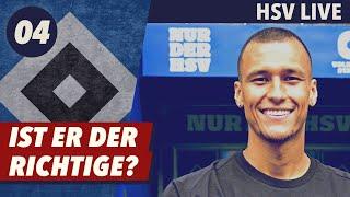 Der HSV holt Davie Selke - Sturmproblem gelöst oder droht Unruhe? - HSV Live #04