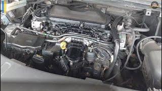 Replace CAMBELT (timing belt) for 2.0TDCi (Ford, Volvo, Peugeot, Citroen)