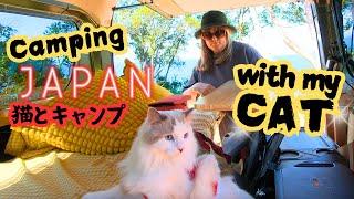 Cat's First Kei Van Camping Trip in Japan: Nighttime Scare! [猫とキャンプ]