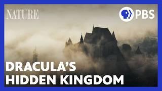 Dracula's Hidden Kingdom | PBS Nature Documentary