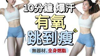 10 MIN JUMPING CARDIO Homeworkout-no equipment, fat【Bellysu減肥中】