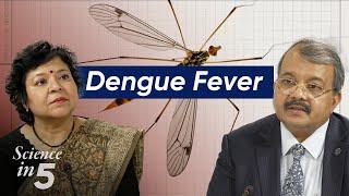 WHO’s Science in 5 - Dengue Fever - 28 March 2024