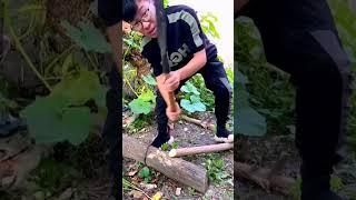 #農民好幫手 65錳鋼砍柴刀#伐木 #農用工具 #戶外柴刀