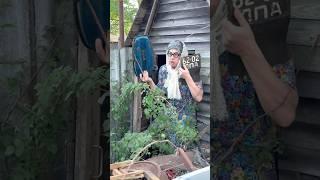 Когда бабка собирает весь ХЛАМ