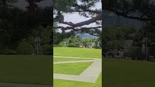 청와대!국민의품으로^^                           #윤석열 #헌법재판소 #국민의힘  #힘내세요 #전한길