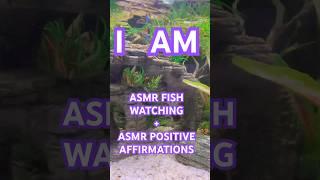 The 5 Most Powerful 'I AM' Asmr Positive Affirmations! ASMR Fish Watching #Shorts #Asmr