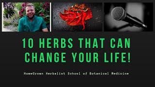 10 Plants That Can Change Your Life: Herbal Medicines In Your Own Backyard!