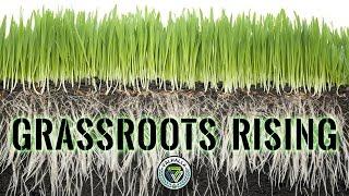 Grassroots Rising || Valhalla Movement Network