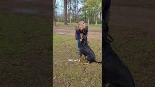Contain the Trouble, Not the Fun | See Our Dog Fence System in Action