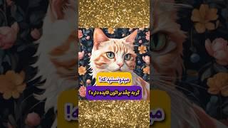 فواید داشتن گربه که نمیدونستید | فکت و دانستی های جالب #گربه_خانگی #shorts