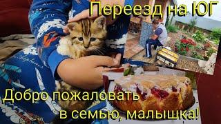 Влог# 637 Переезд на ЮГ  Добро пожаловать, малышка Жена блогер -горе в семье  Переделка БЕСЕДКИ