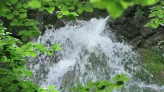 Wanderung zum Grießenbach- Wasserfall und zur Zeppelinhöhe I Chiemgau