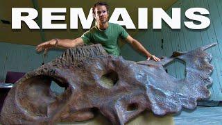 The Great Fossil Race: Uncovering Prehistoric Dinosaur Bones | Dino Hunt | Real Wild