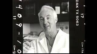 The Vision of Perseus: Norman Shumway (1993)