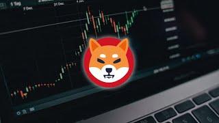  SHIB ARMY, ASSEMBLE!  Is a Shiba Inu breakout on the horizon? 