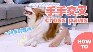 一起跳舞吧：狗狗手交叉Dog cross paws│才藝小教室#1│Jun & Pluto