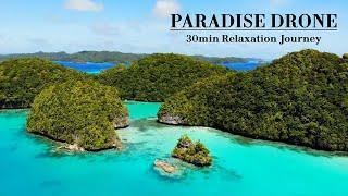 Drone Bliss for Relaxation & Serenity#relaxationvideo #dronevideo #landscapes #youtubefeed