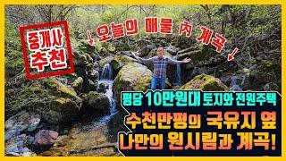 [매물번호 861] 수천만평의 국유지와 함께하는 나만의 원시림과 계곡! 토지와 전원주택이 함께 있는 평당 10만원 대의 저렴한 토지 매물 홍천부동산 토지매매